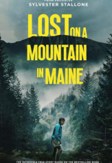 lost on a mountain in maine (2024)